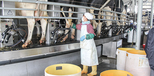 female milker