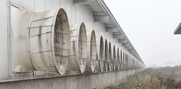 ventilation shafts
