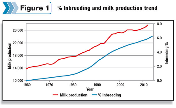 U.S. inbreeding and milk production trends