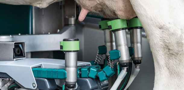 milking machine