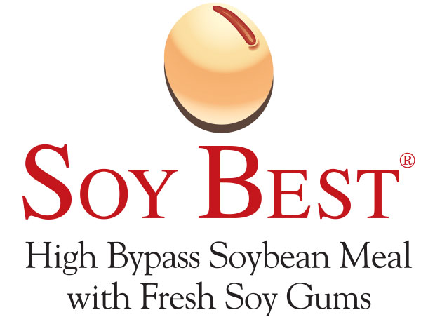 soybest logo
