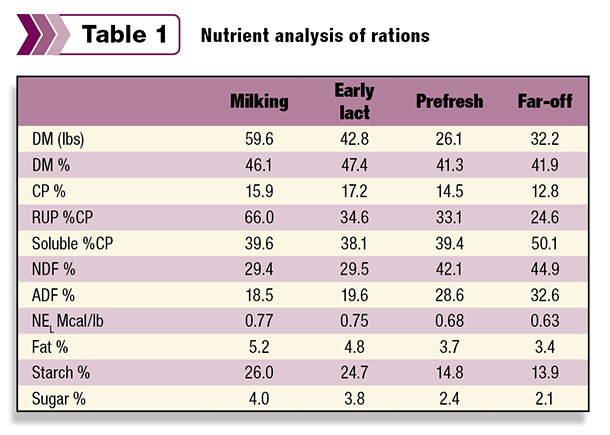 Nutrient analysis of dairy rations