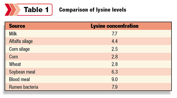 comparison of lysine levels