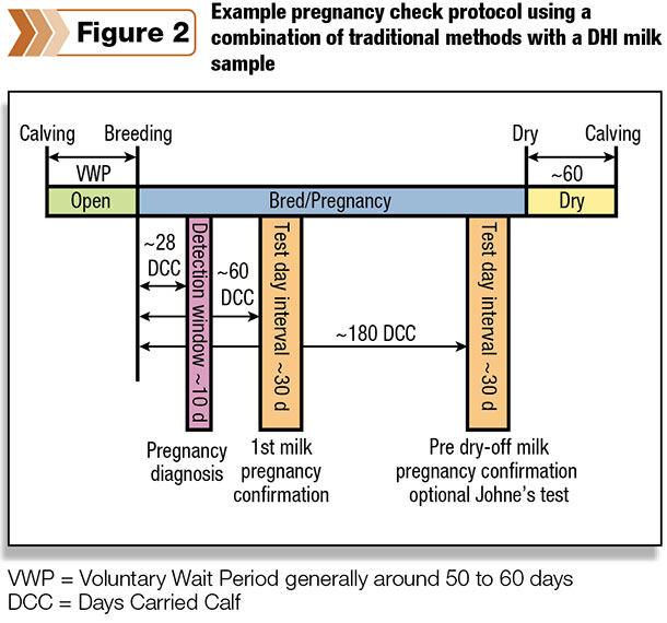 milk sample pregnancy protocols