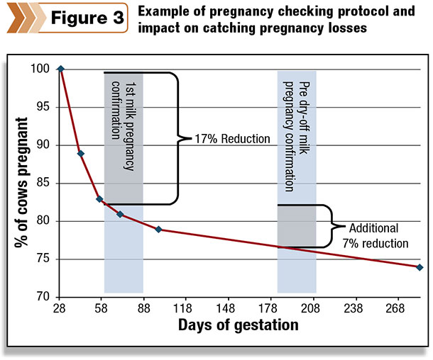 Pregnancy checking protocol