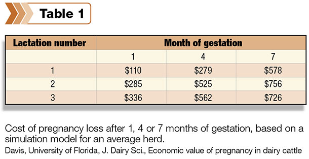 pregnancy loss