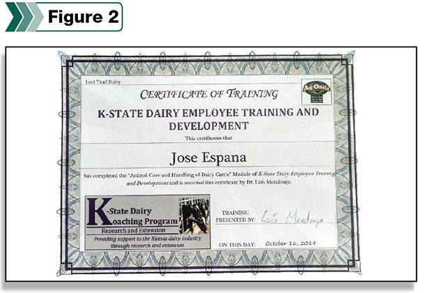 Training certificate