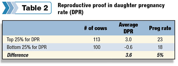 cow pregnancy rate