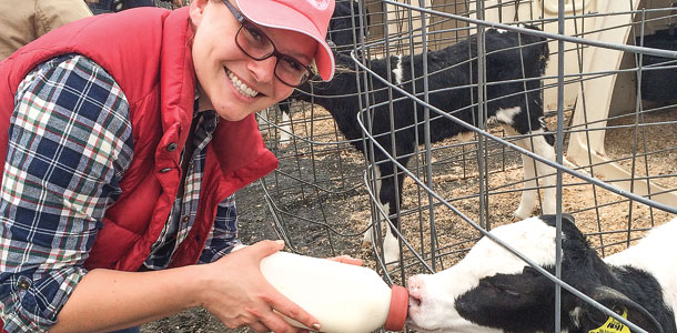 Woman feeding calf