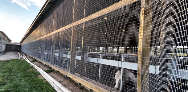 bird netting