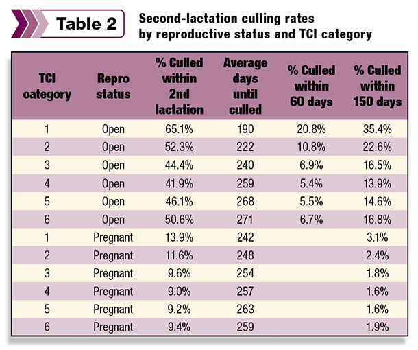 second lactation culling rates