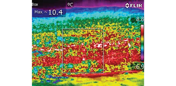 thermal image