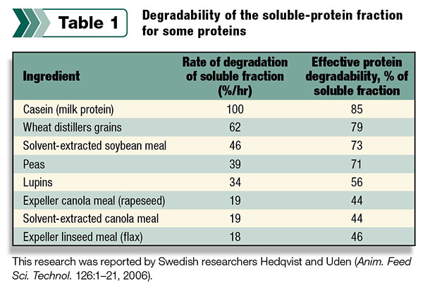 degradeability of proteins