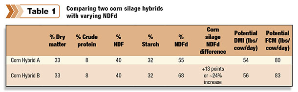 corn silage hybrids