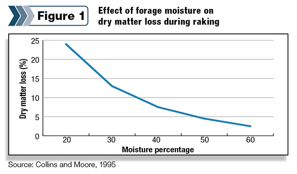 forage moisture effect