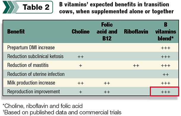 B vitamins' benefits