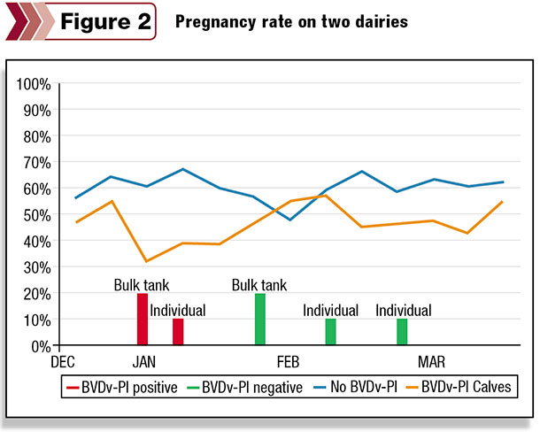 pregnancy rates