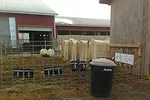 051815 calf hutches