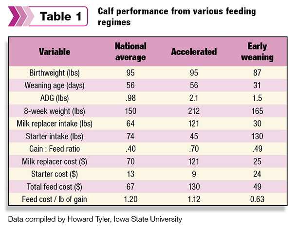 calf feeding performance