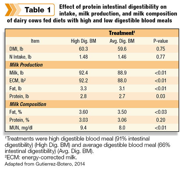 protein digestibiltiy effects