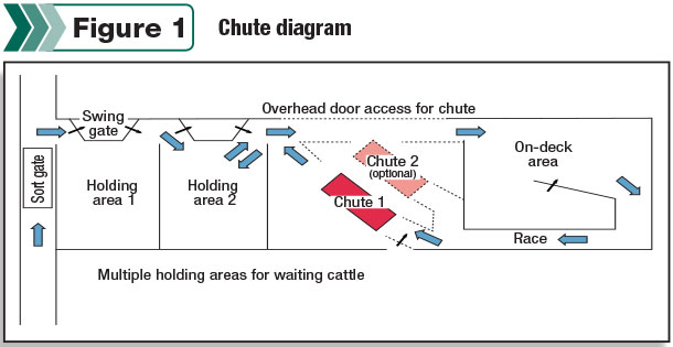 chute diagram
