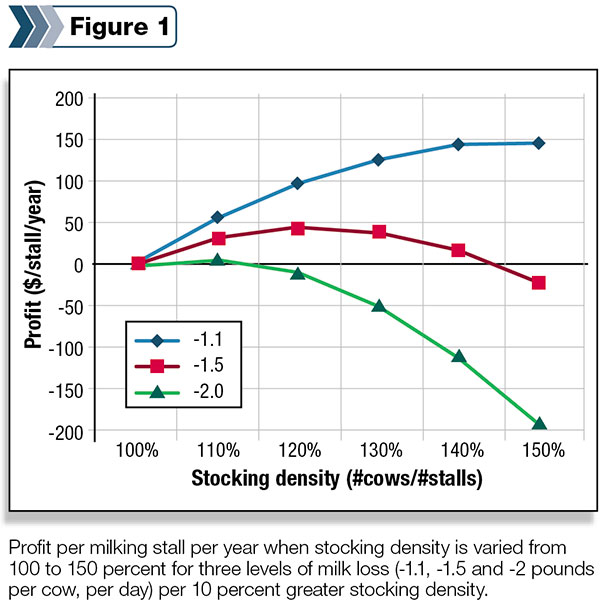milk profits