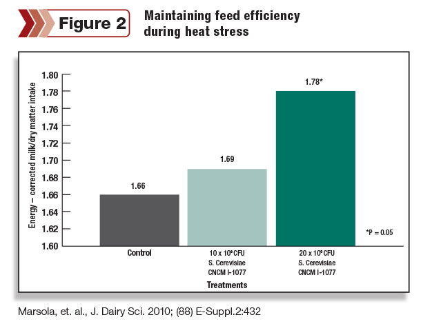 feed efficiency maintenance
