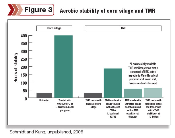 aerobic stability of corn silage