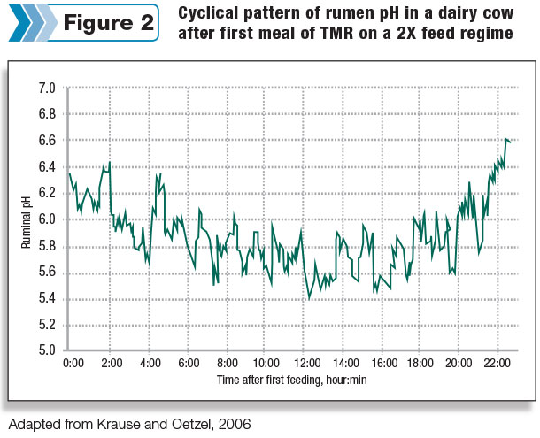 cyclical pattern of rumen pH