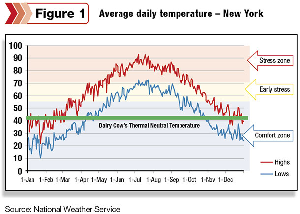 New York average daily temperature
