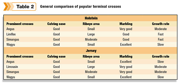 terminal cross comparisons