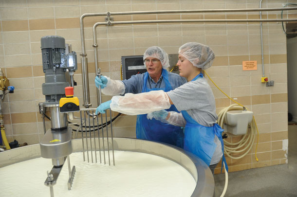 cheese vat