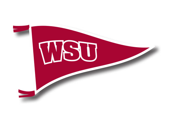 washington state university flag