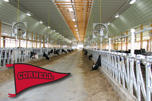 dairy barn