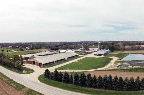 Meadow Brook dairy farm