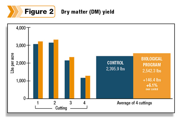 dry matter