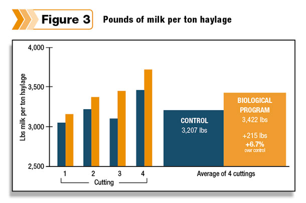 milk from haylage