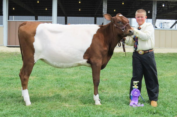 Wesley Winch and Dutch Belted cow