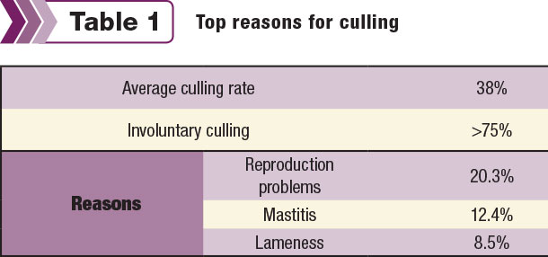 top culling reasons