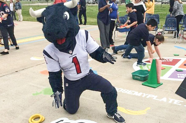 toro the bull
