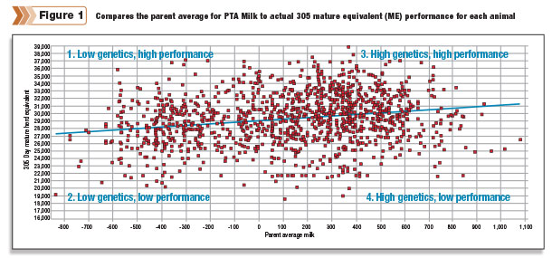 parent average versus mature equivalent