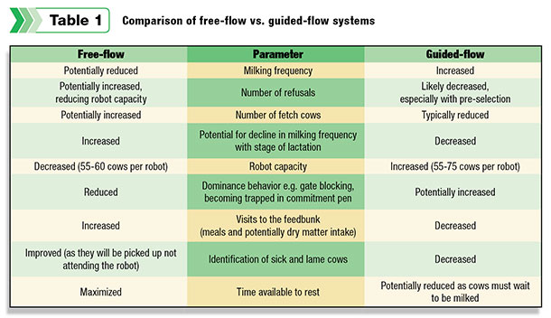 cow milking systems