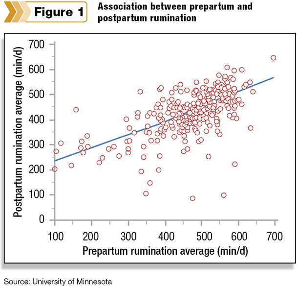 Association between prepartum and postpartum rumination