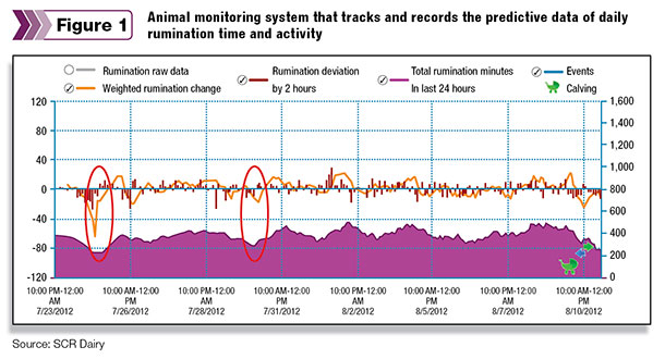 Animal monitoring system that tracks and records 