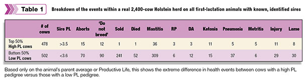 Breakdown of the events within a real 2,400-cow Holstein herd