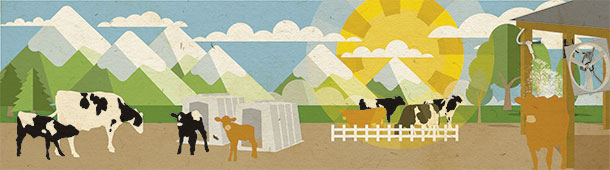 Climate change: impacts