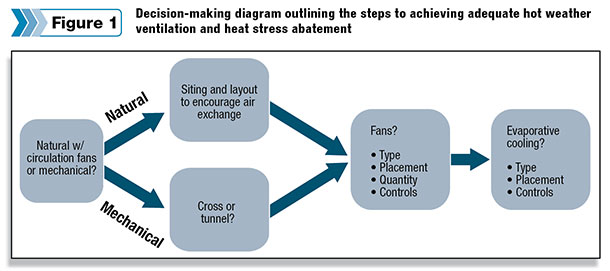 Figure 1 Decision-making diagram