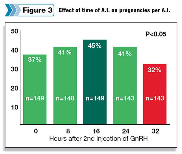 Effect of time of A.I. on pregnancies per A.I.
