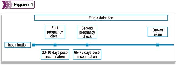 Insemination