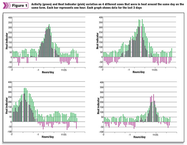 Variation of heat time in four different cows